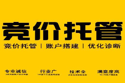 案例解读：SEM托管助力电商销售增长